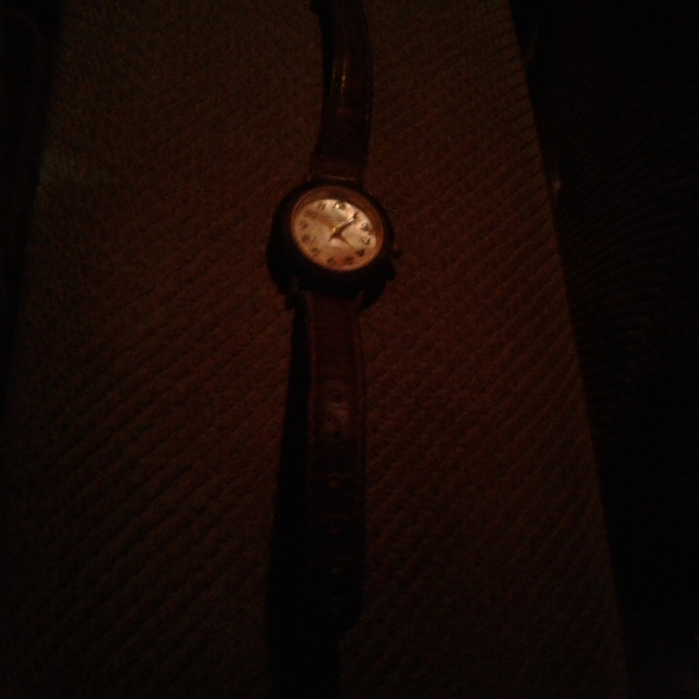 La Express Watch
